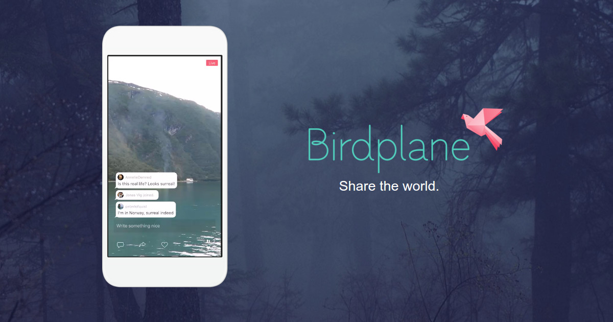 Birdplane website