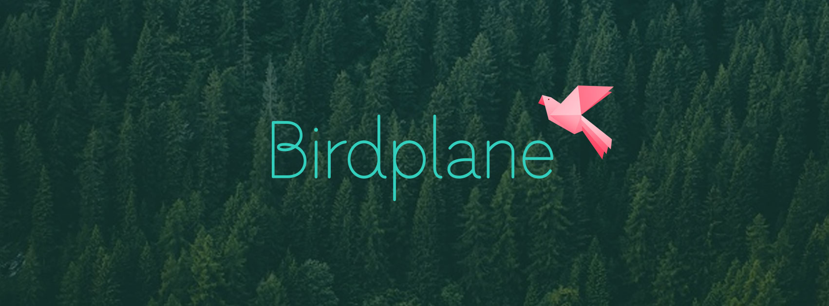 Birdplane social cover
